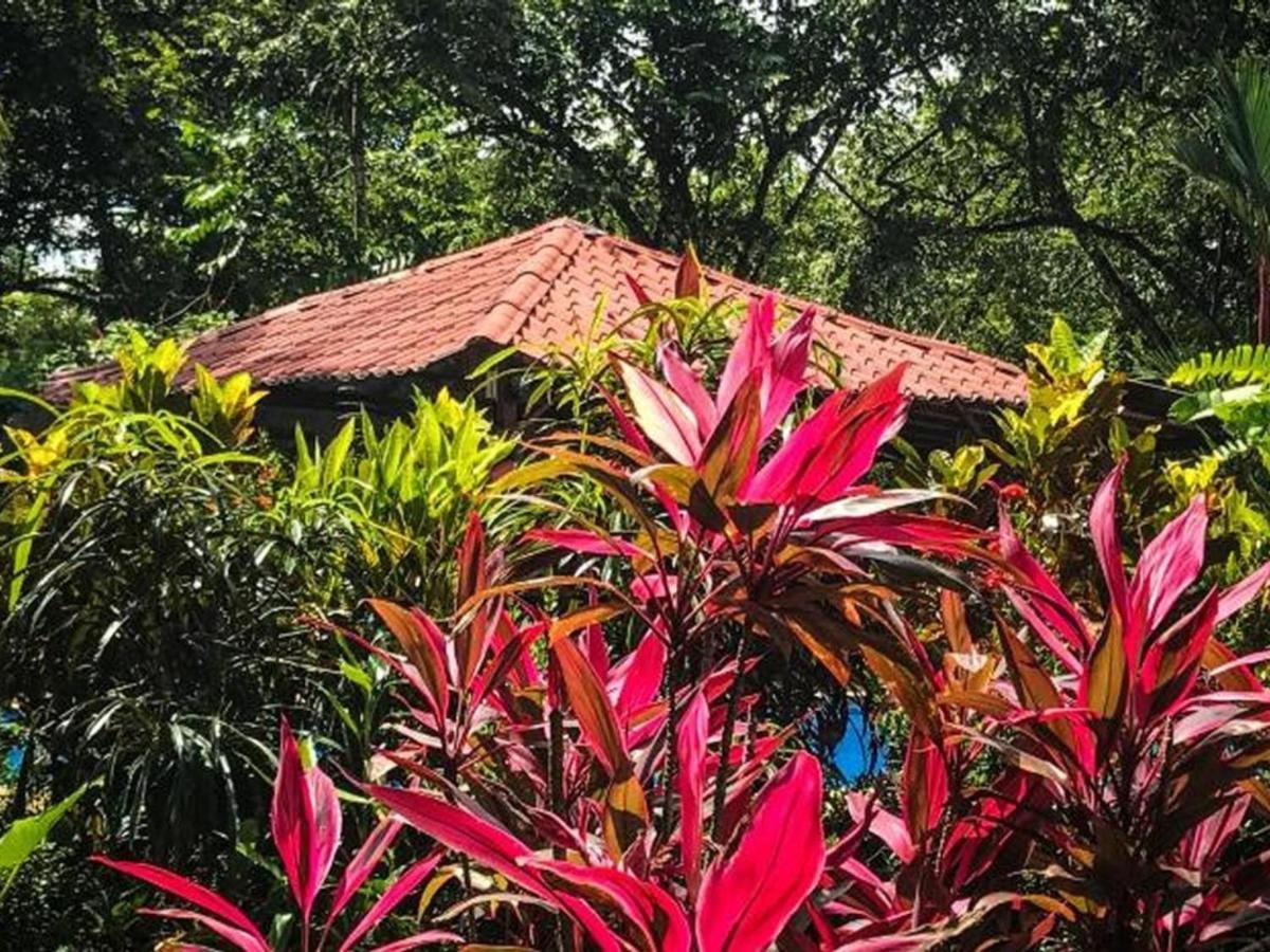 Casa Colores มอนเตซูมา ภายนอก รูปภาพ