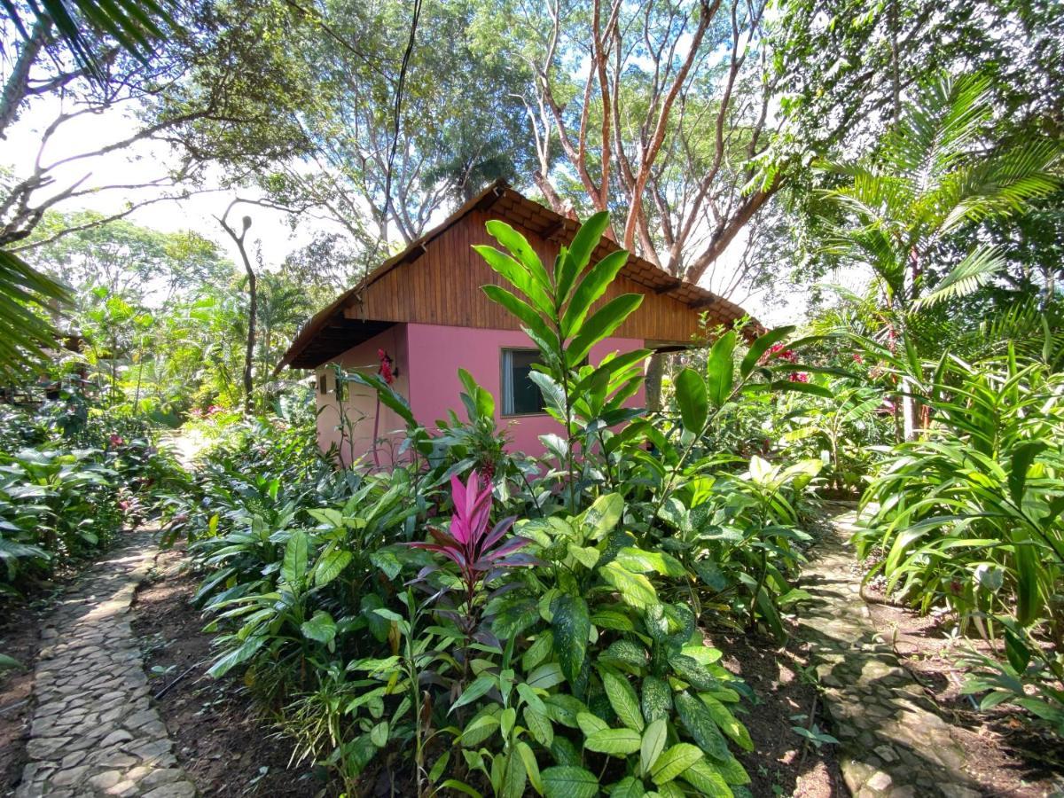 Casa Colores มอนเตซูมา ภายนอก รูปภาพ
