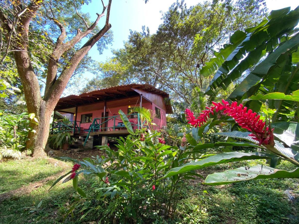 Casa Colores มอนเตซูมา ภายนอก รูปภาพ