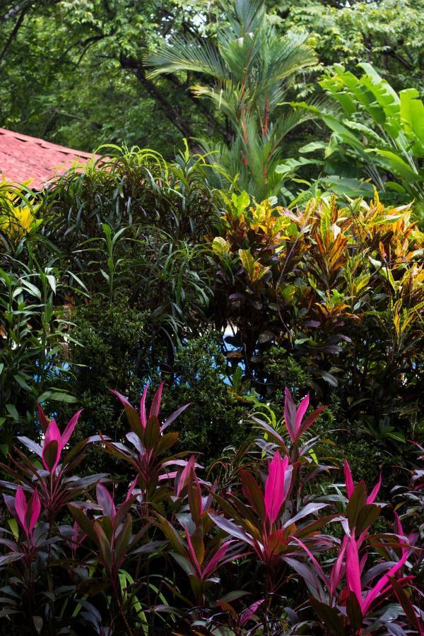 Casa Colores มอนเตซูมา ภายนอก รูปภาพ