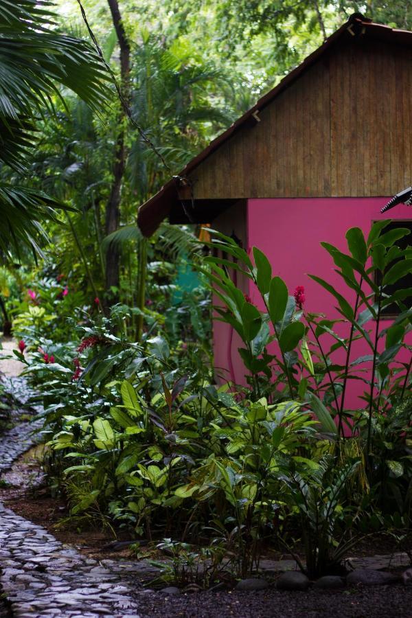 Casa Colores มอนเตซูมา ภายนอก รูปภาพ