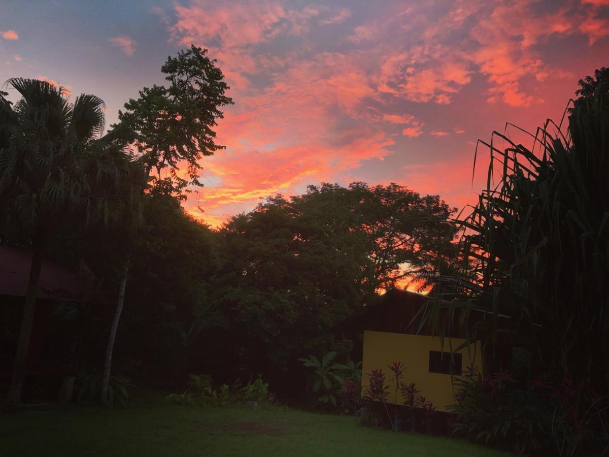 Casa Colores มอนเตซูมา ภายนอก รูปภาพ